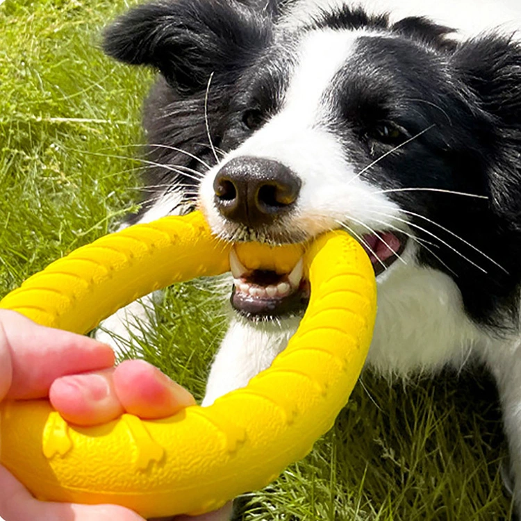 EVA Pet Ring Leketøy