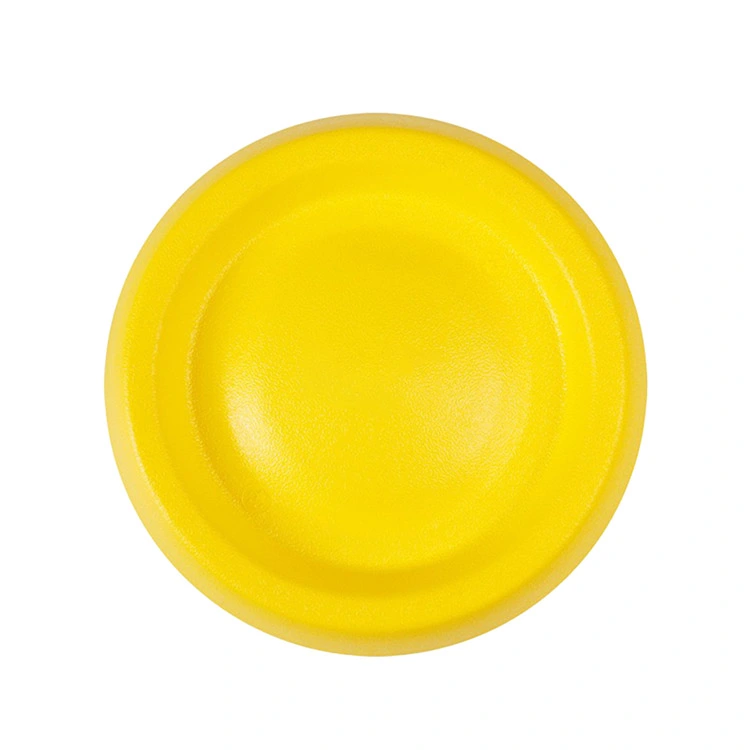 Hva gjør EVA Pet Frisbee til det beste valget for trygg, holdbar og morsom hundelek
